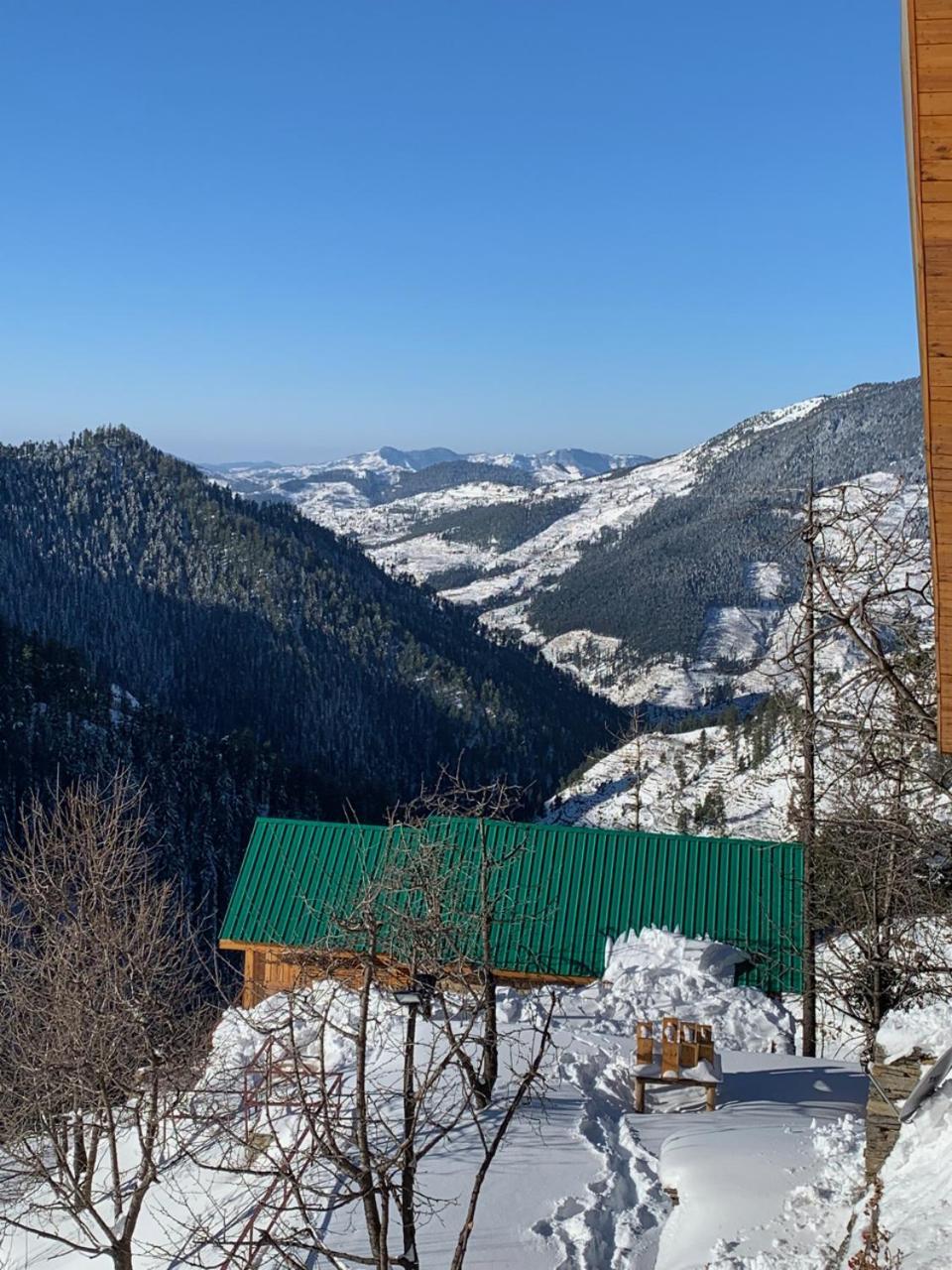Elivaas 1 Bhk Premium Cottage With Sauna - Everly Shimla Exteriör bild